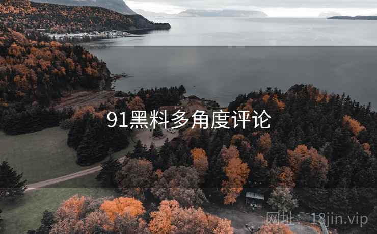 91黑料多角度评论