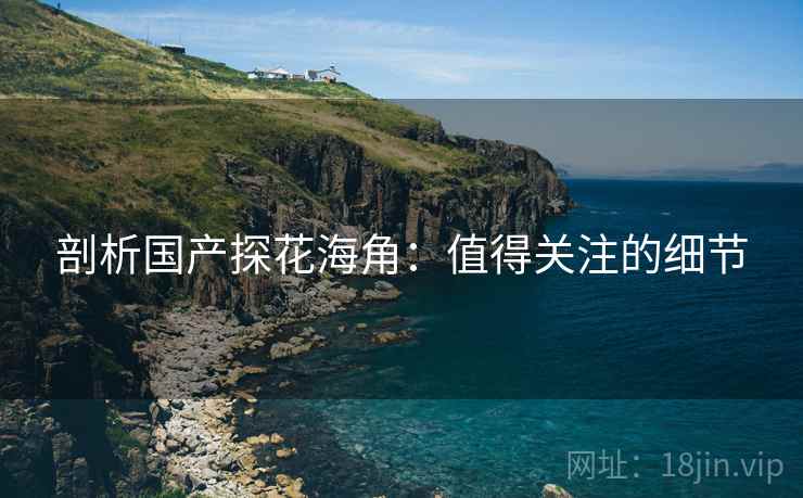 剖析国产探花海角：值得关注的细节