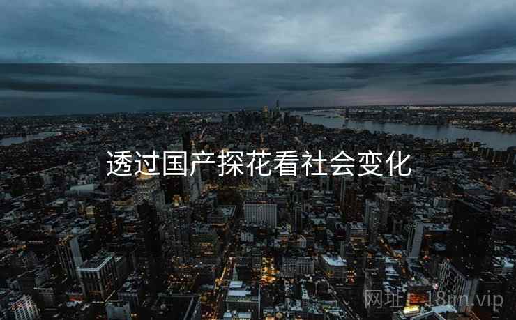 透过国产探花看社会变化