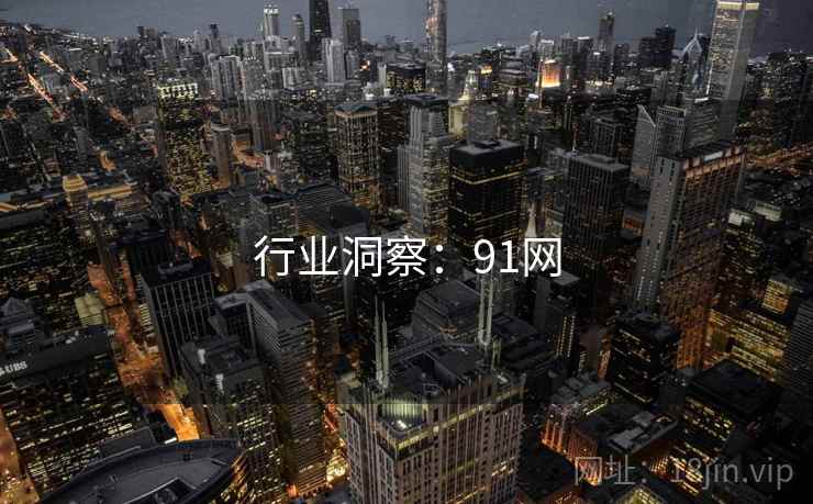 行业洞察：91网