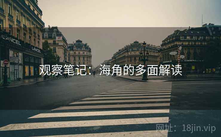 观察笔记：海角的多面解读