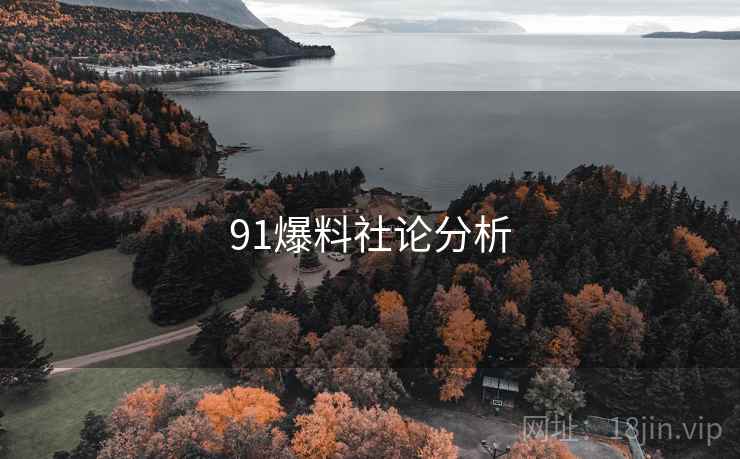 91爆料社论分析