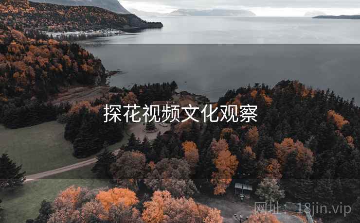 探花视频文化观察