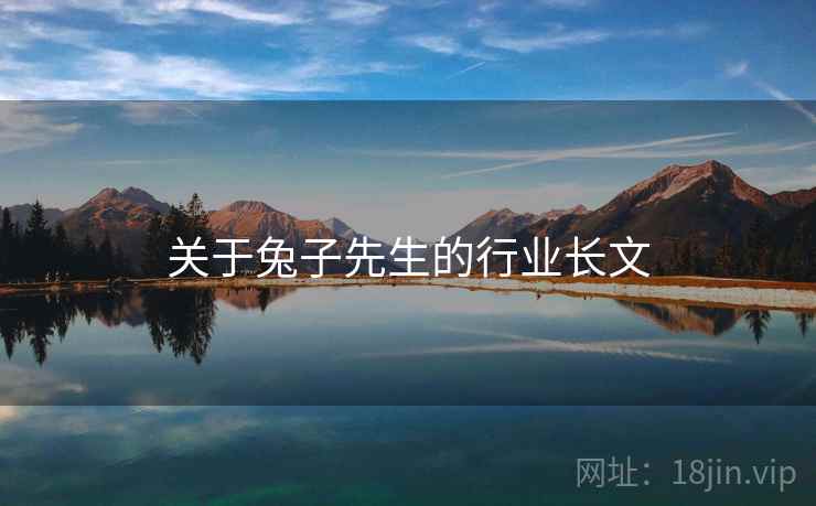 关于兔子先生的行业长文