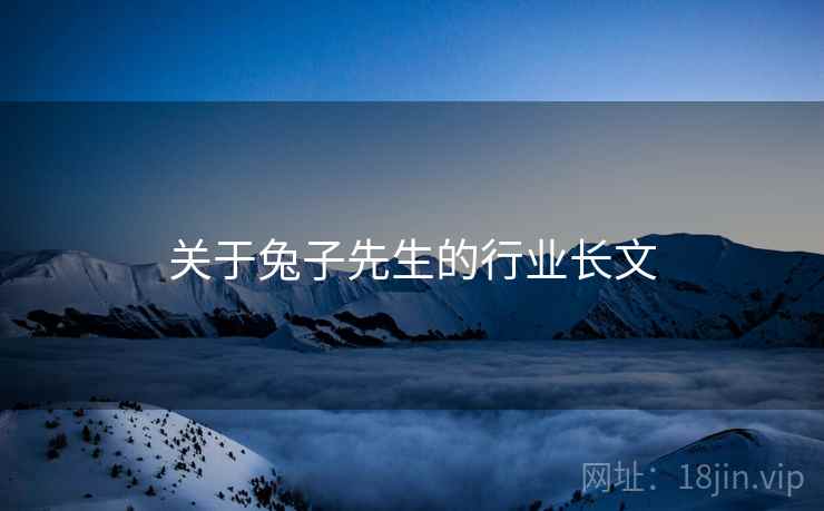 关于兔子先生的行业长文