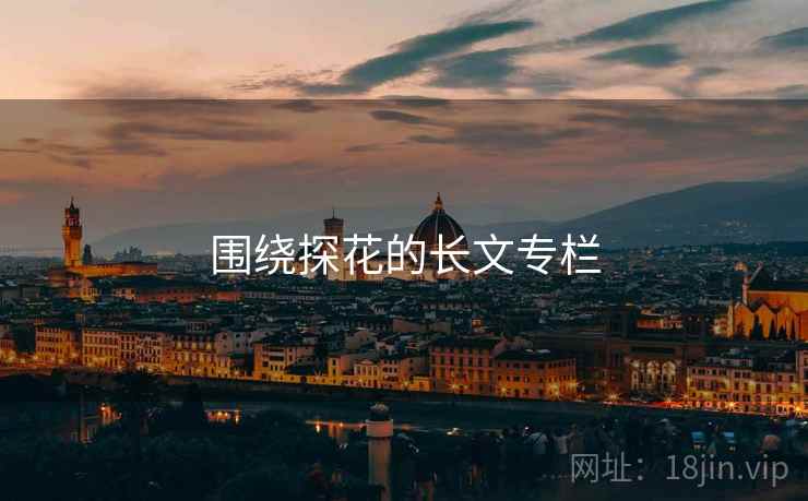 围绕探花的长文专栏