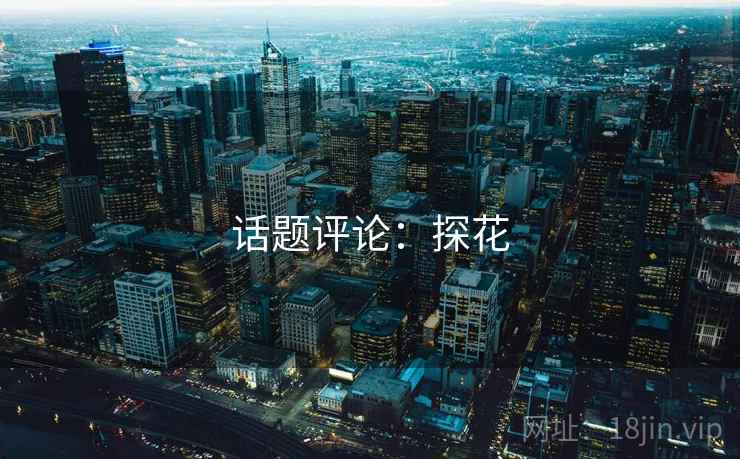 话题评论：探花