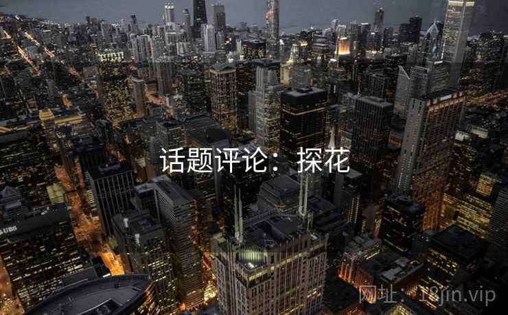 话题评论：探花