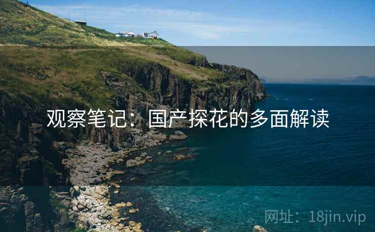 观察笔记：国产探花的多面解读