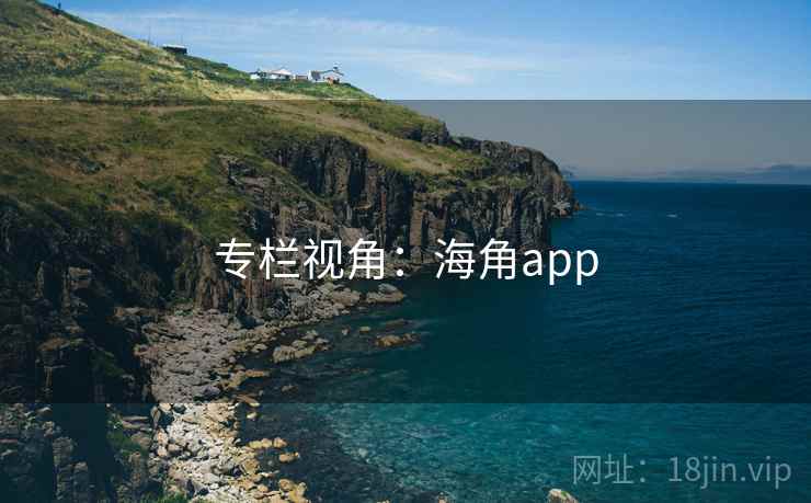 专栏视角：海角app