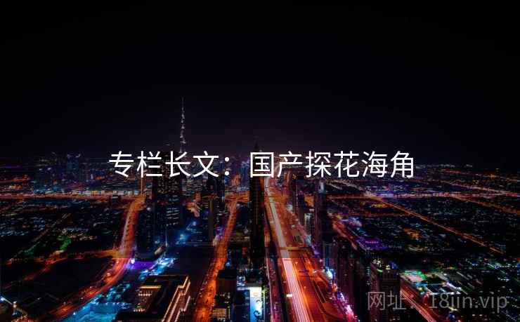 专栏长文：国产探花海角