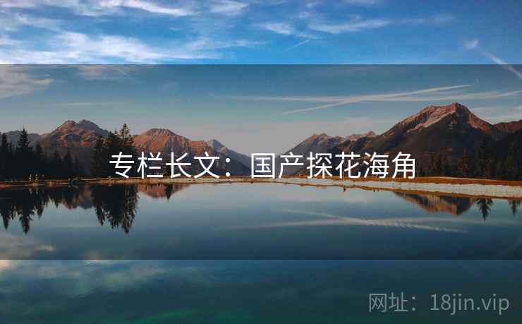 专栏长文：国产探花海角