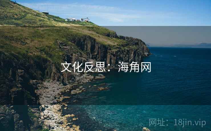 文化反思：海角网
