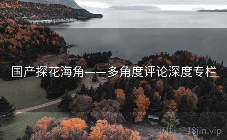 国产探花海角——多角度评论深度专栏 国产探花海角——多角度评论深度专栏