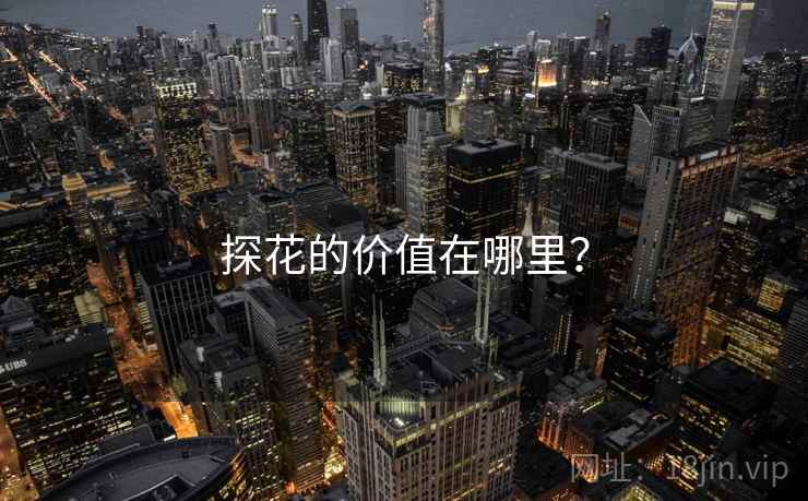 探花的价值在哪里？