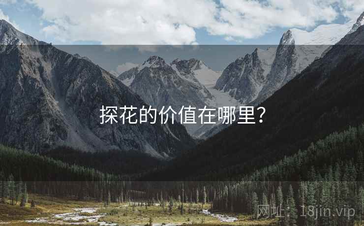 探花的价值在哪里？