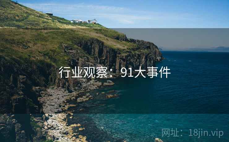 行业观察：91大事件