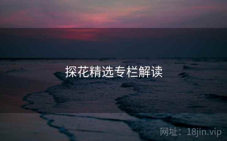 探花精选专栏解读