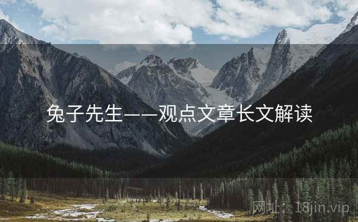 兔子先生——观点文章长文解读 兔子先生——观点文章长文解读