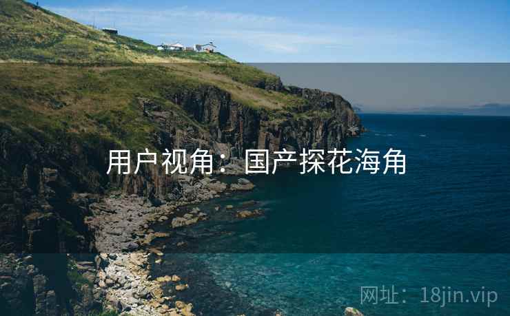 用户视角：国产探花海角
