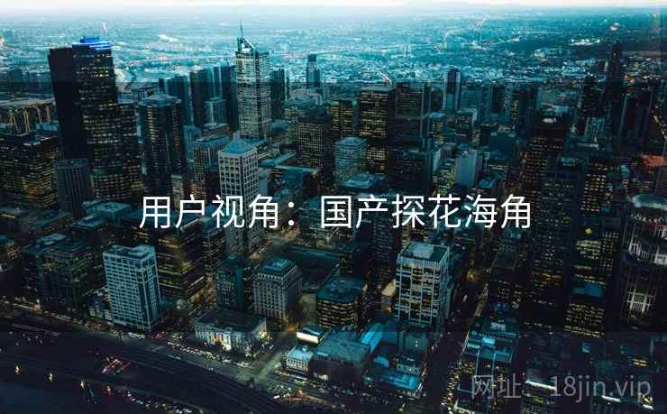 用户视角：国产探花海角
