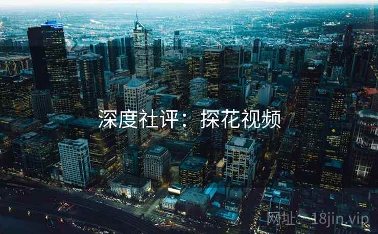 深度社评：探花视频