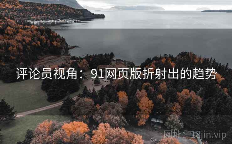 评论员视角：91网页版折射出的趋势