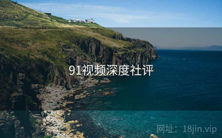 91视频深度社评