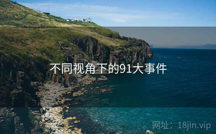 不同视角下的91大事件