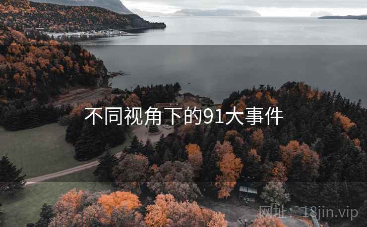 不同视角下的91大事件