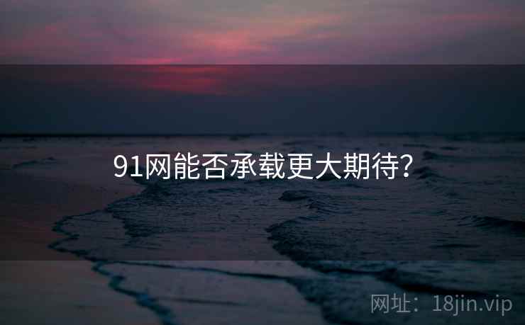 91网能否承载更大期待？