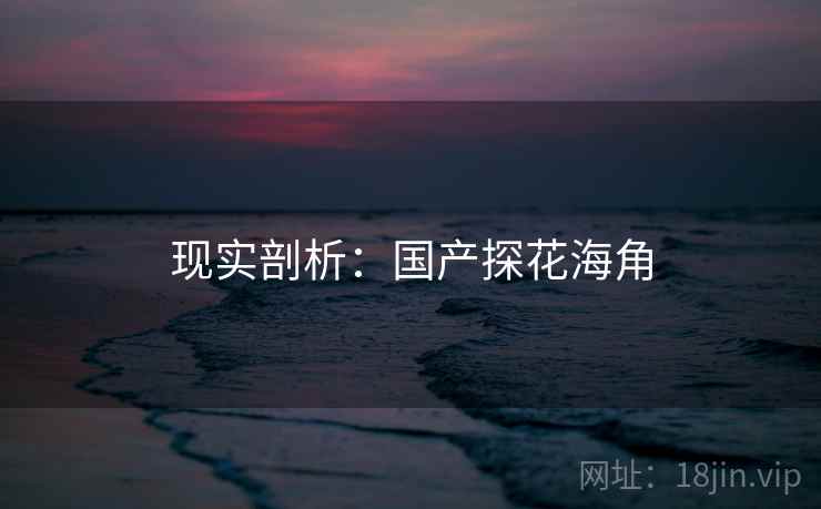现实剖析：国产探花海角