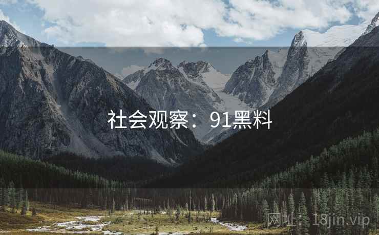 社会观察：91黑料