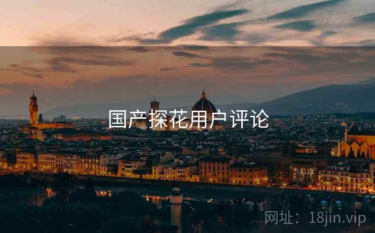 国产探花用户评论 国产探花用户评论