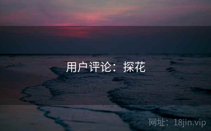 用户评论：探花