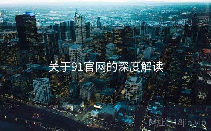 关于91官网的深度解读
