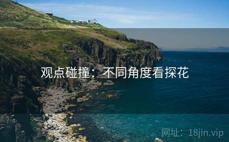 观点碰撞:不同角度看探花 观点碰撞:不同角度看探花