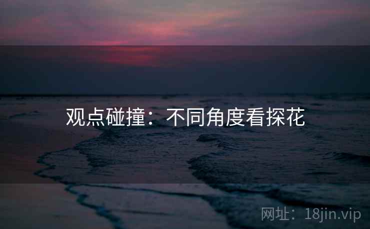观点碰撞：不同角度看探花